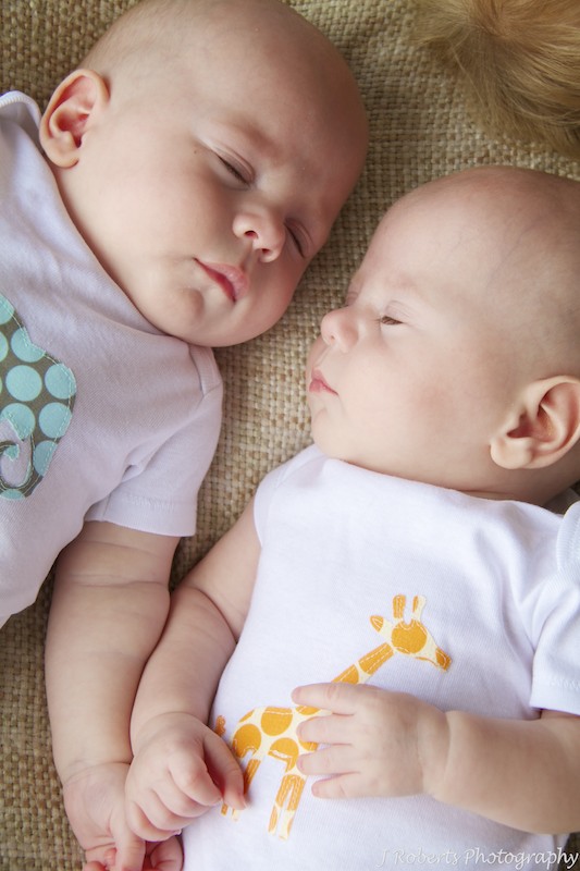 Sleeping twin boys - family portrait photography sydney